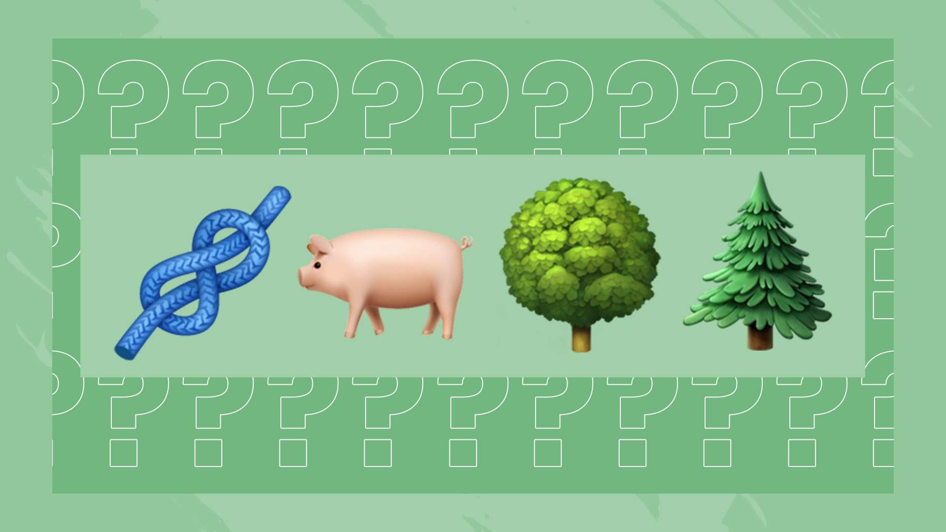 迈阿密球队 迈阿密球队