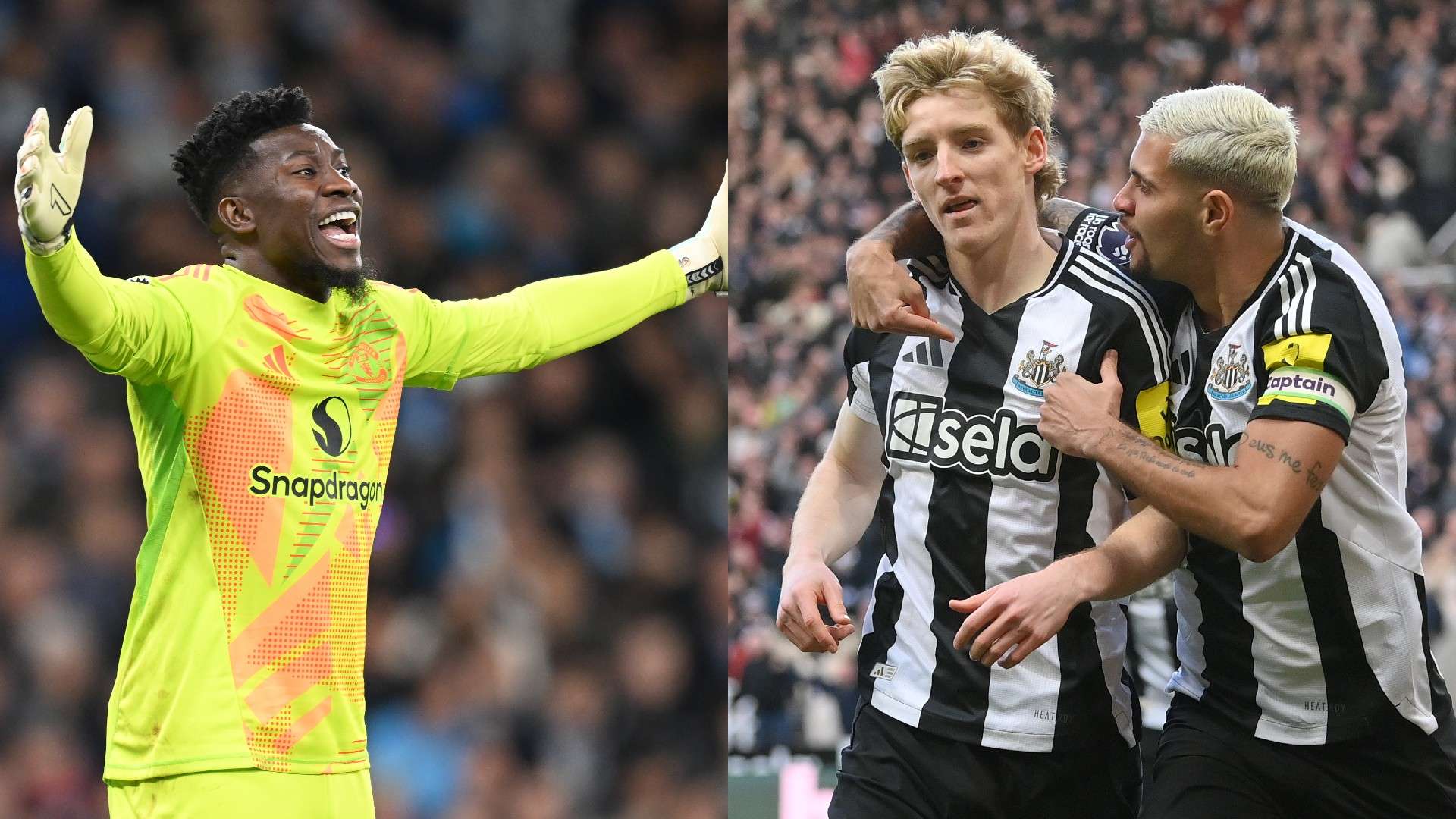 他丰富的英 他丰富的英