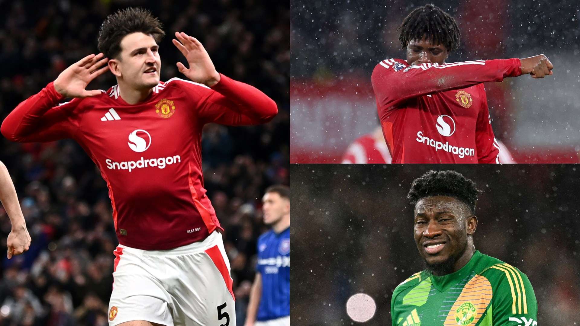 进行全面分 进行全面分